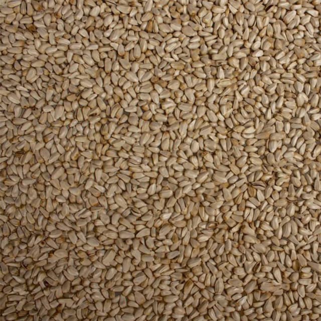دانه گلرنگ
